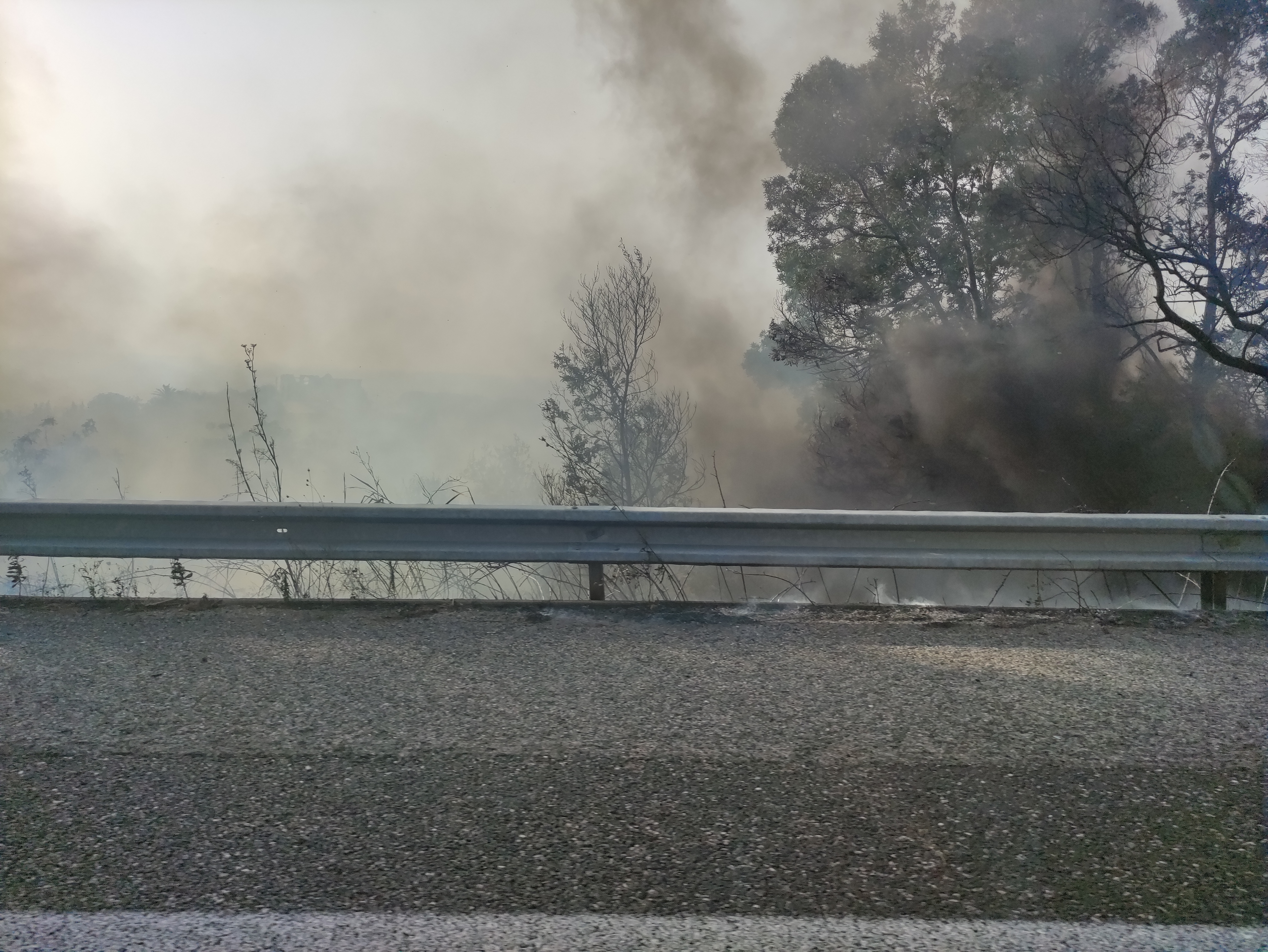 Maxi incendio sulla A-20 in direzione Milazzo: fiamme a bordo della strada