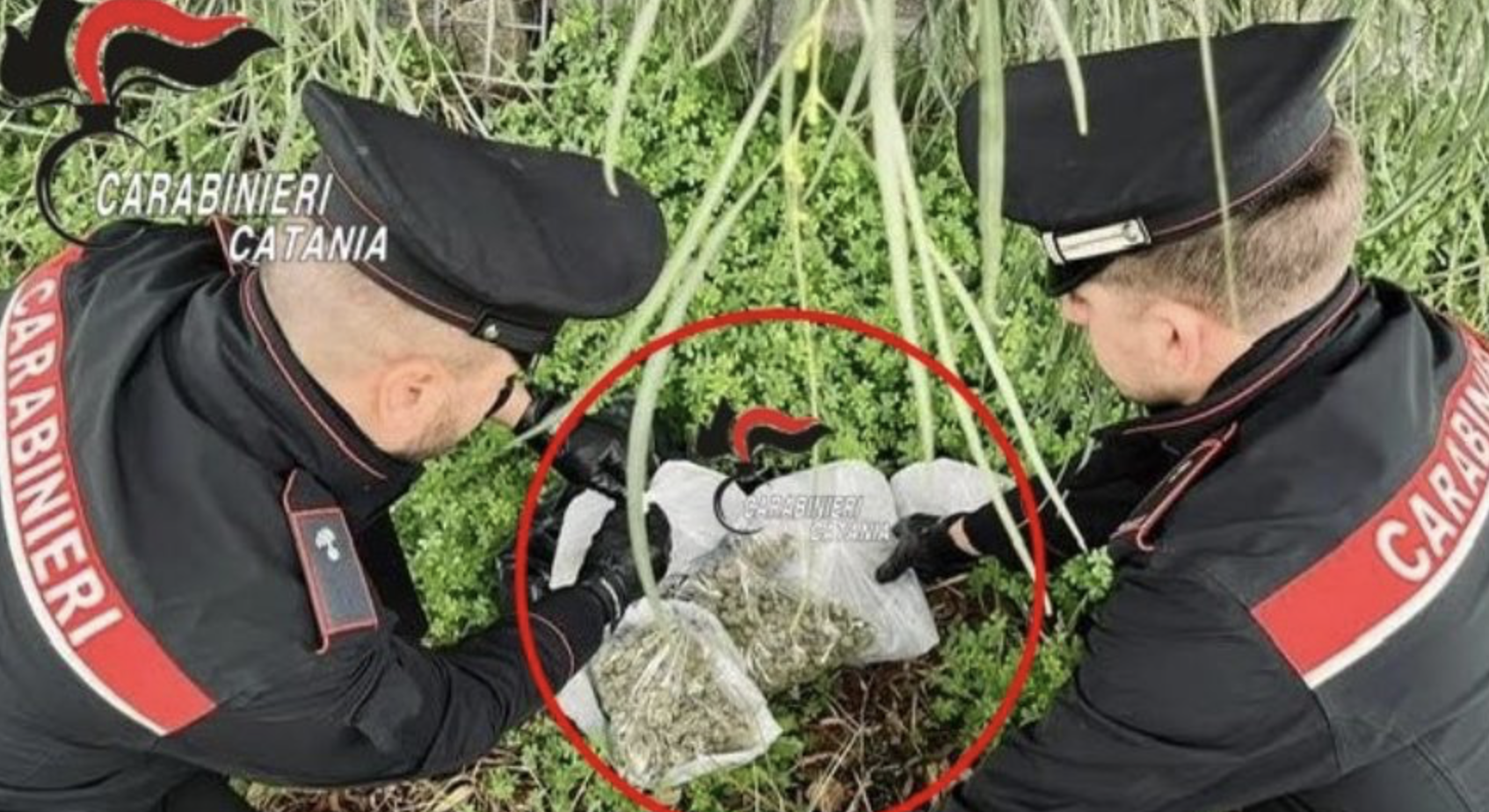 Catania, maxi controlli dei Carabinieri: sequestrato oltre un chilo di marijuana nel quartiere Librino