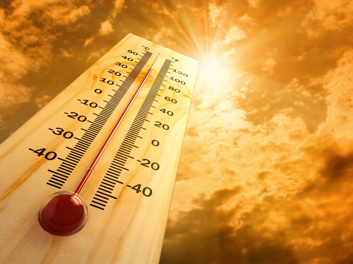 Luglio da record per la temperatura dei mari: Europa nella morsa di caldo, siccità e incendi