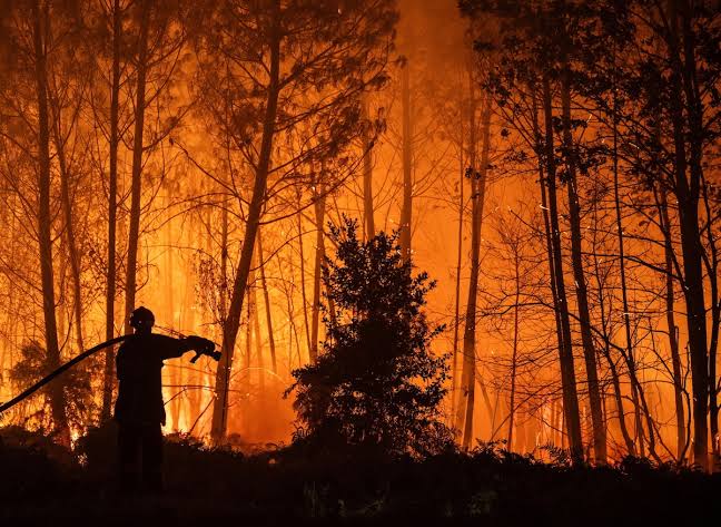 Incendi in Spagna, oltre 120mila persone evacuate: roghi sotto controllo a Madrid e รvila, nuova emergenza vicino Valencia